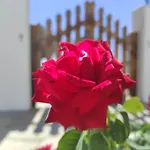 Appartement αγκυρα Livadi (Serifos)