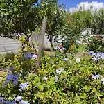 αγκυρα * Livadi (Serifos)