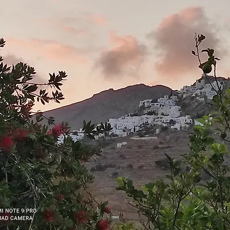 Apartment αγκυρα Livadi (Serifos)