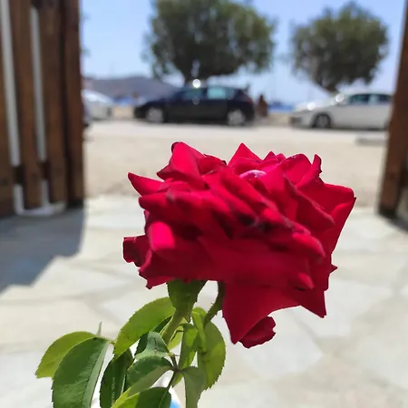 αγκυρα * Livadi (Serifos)