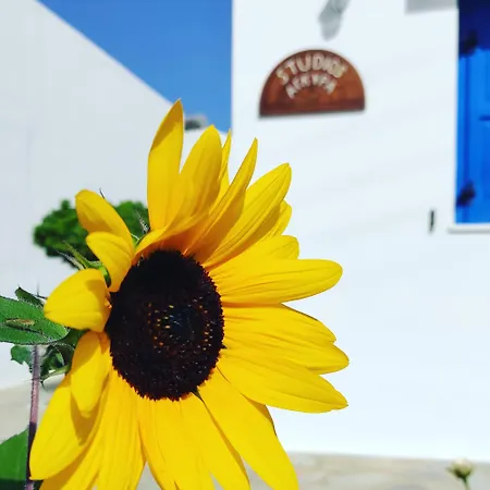 Apartment αγκυρα