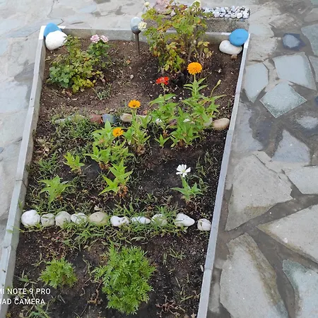 αγκυρα Apartment Livadi (Serifos)