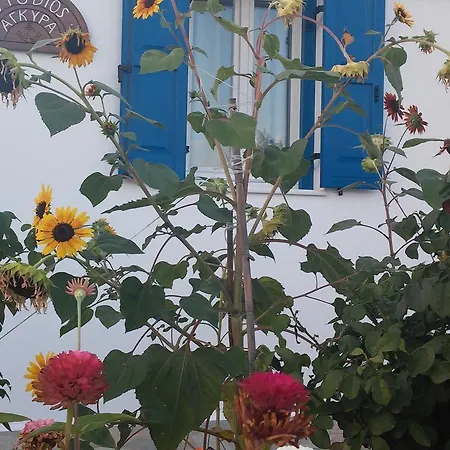 αγκυρα * Livadi (Serifos)