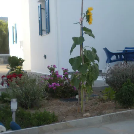 αγκυρα * Livadi (Serifos)