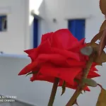 αγκυρα Апартаменты Ливадион