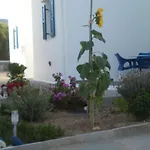αγκυρα * Livadi (Serifos)