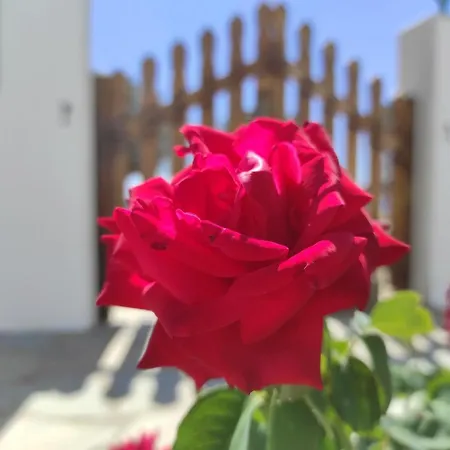 Apartment αγκυρα Livadi (Serifos)