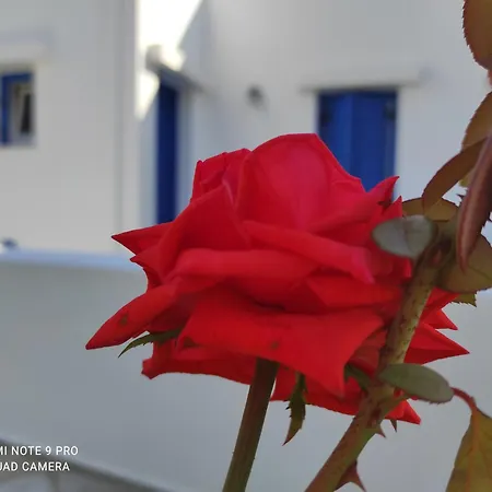 αγκυρα Apartamento Livadi (Serifos)