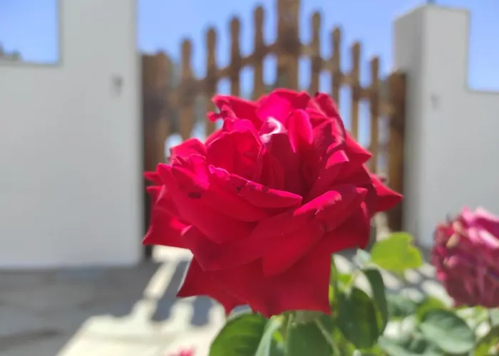 Apartment αγκυρα Livadi (Serifos)