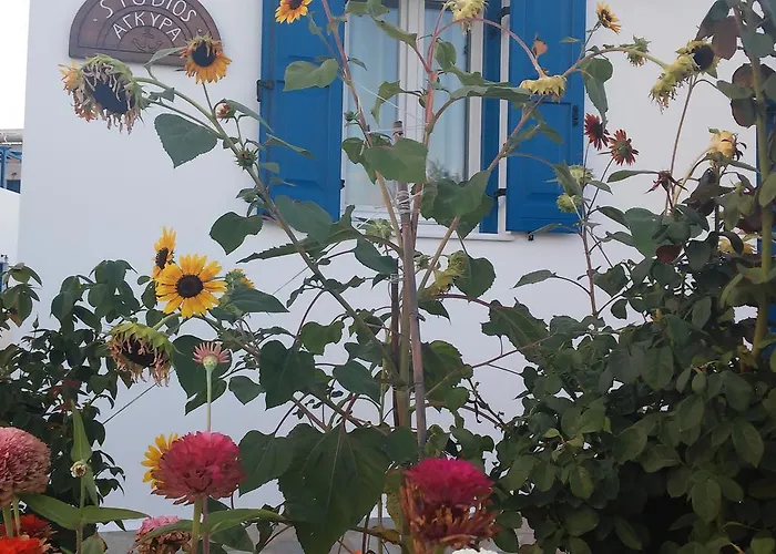 αγκυρα * Ливадион