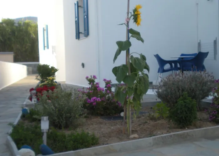 αγκυρα * Ливадион